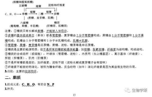 簡(jiǎn)明扼要教授簡(jiǎn)譜基礎知識