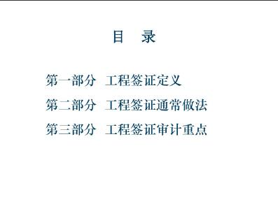 審計(jì)基礎(chǔ)知識(shí)講座doc