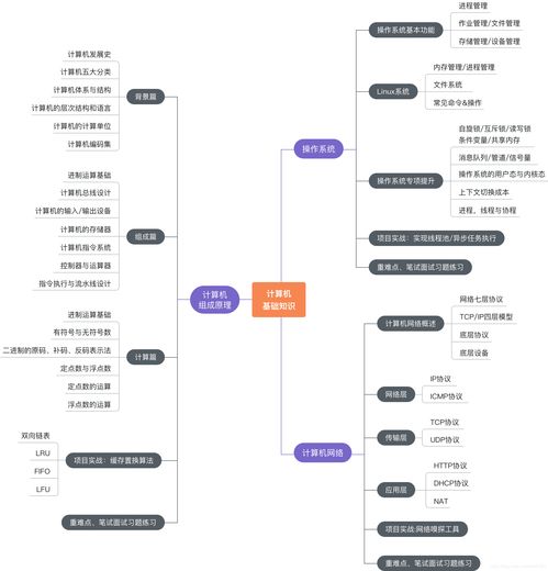 慕課網(wǎng)編程必備基礎知識