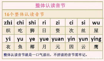 漢語(yǔ)拼音部分基礎知識測試,小學(xué)漢語(yǔ)拼音基礎知識,漢語(yǔ)拼音初學(xué)入門(mén)基礎知識