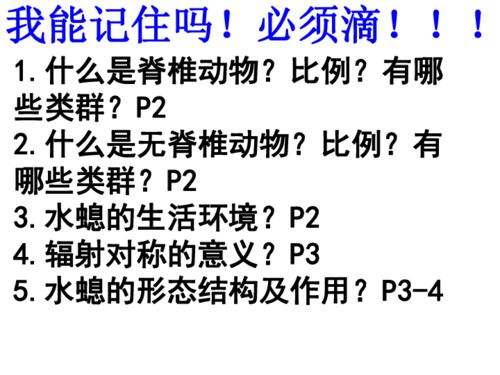 初三語(yǔ)文基礎知識ppt
