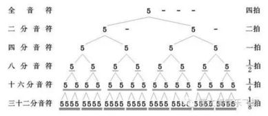 胡盧絲基礎(chǔ)知識(shí)