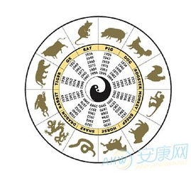 五行八卦基礎知識