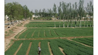 巴東農(nóng)業(yè)基礎(chǔ)知識