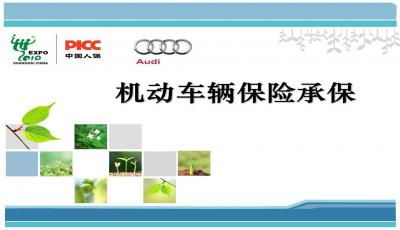車(chē)險基礎知識附加PPT