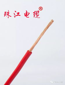 珠江電線電纜財(cái)務(wù)基礎(chǔ)知識(shí)試題