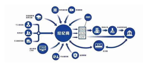 e外匯基礎知識入門(mén)