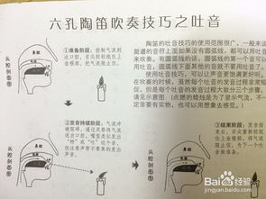 第二課陶笛基礎(chǔ)知識(shí)篇