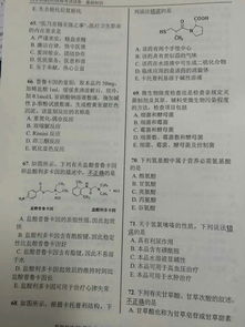 藥師考試試題基礎知識