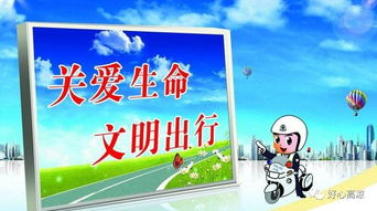 什么是交通基礎知識