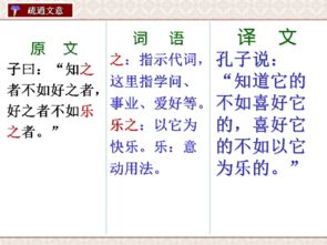 論語(yǔ)選讀基礎知識題三_(一)閱讀論語(yǔ)中的幾段文字