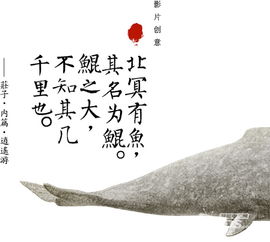 北冥有魚(yú)的基礎知識