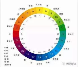 涂料售后基礎知識