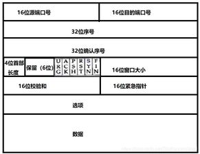 自考計算機網(wǎng)絡(luò )基礎知識總結