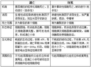 醫學(xué)基礎知識細胞