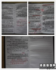 小學(xué)體育基礎知識教學(xué)反思