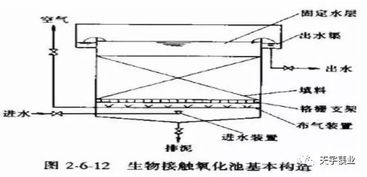 污水處理,基礎知識,測試題,城市