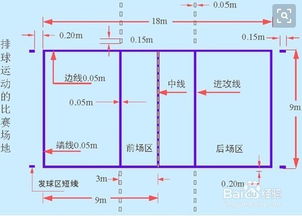 排球技術(shù)基礎知識