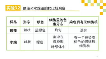 基礎知識,重要性,高中生物