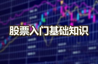 信管家股票入門(mén)基礎知識