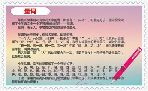 教師應具備的基礎知識