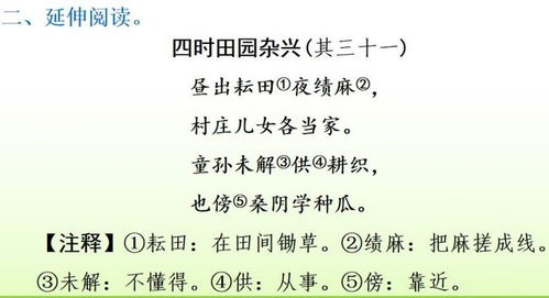 小學語文四年級基礎(chǔ)知識訓(xùn)練,小學語文四年級上冊的古詩詞,小學語文四年級上冊基礎(chǔ)知識匯總