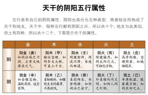 天干地支與五行(八字入門(mén)基礎知識)