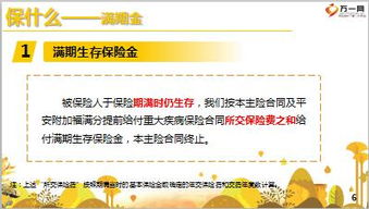 平安保險基礎知識內容