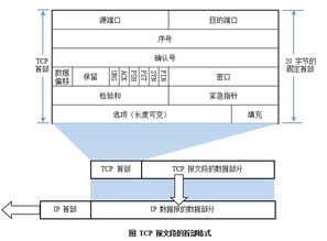 計算機網(wǎng)絡(luò )第三版基礎知識總結