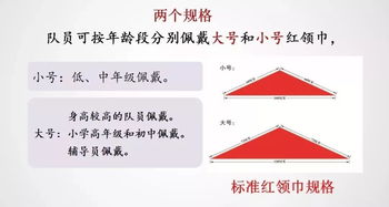 少先隊建隊的基礎知識