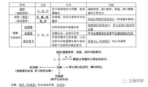 高中基礎知識生物