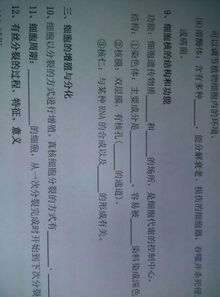高三生物知識點(diǎn)基礎知識填空