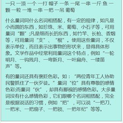 基礎知識,語(yǔ)文,考試,初一上