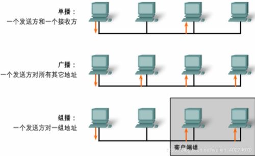 交換機的基礎知識,交換機基礎知識總結,路由器交換機基礎知識