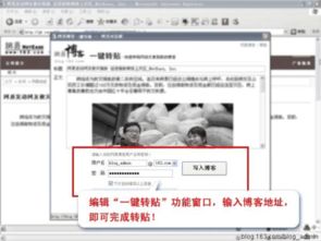 基礎知識,博客