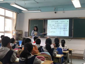夯實(shí),基礎知識,小學(xué),教學(xué)