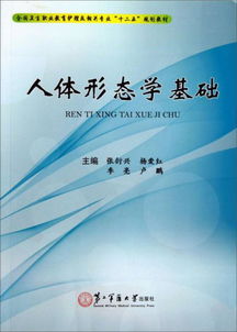 人體形態(tài)學(xué)基礎知識