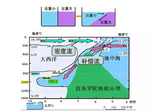 洋流的基礎知識