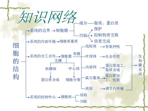 細胞的結構基礎知識點(diǎn)大綱