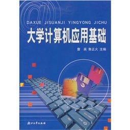 大學(xué)計算機應用電腦基礎知識