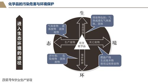 安全事故基礎知識