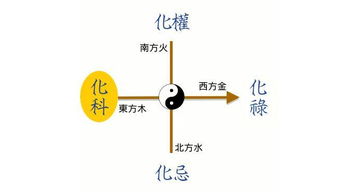 紫微斗數(shù)入門(mén)基礎(chǔ)知識(shí)