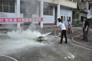 巴東,基礎(chǔ)知識,農(nóng)業(yè)