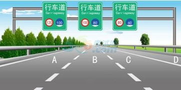 路通駕校科目一基礎知識