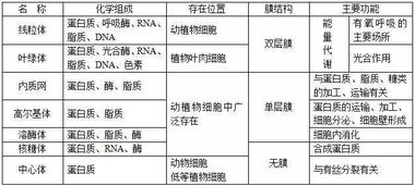 高三生物基礎強化知識點(diǎn)