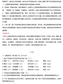 基礎(chǔ)知識,中考,語文