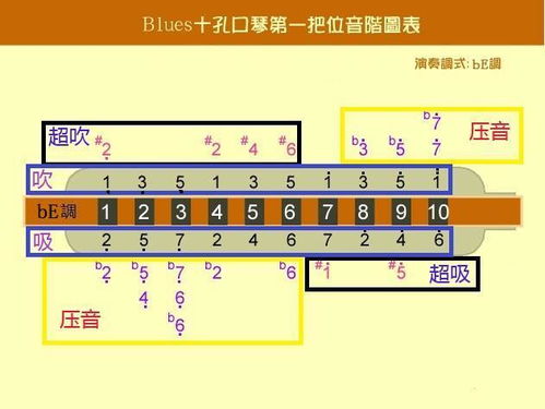 十孔口琴的基礎知識