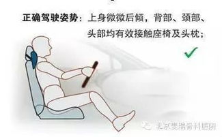 車(chē)輛駕駛員職業(yè)健康基礎知識