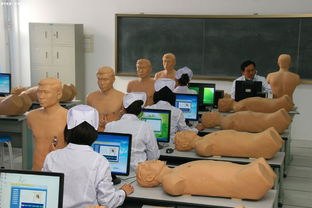 護(hù)士專業(yè)基礎(chǔ)知識(shí)面試題,護(hù)士專業(yè)基礎(chǔ)知識(shí)面試題百度云盤,護(hù)士專業(yè)基礎(chǔ)知識(shí)面試