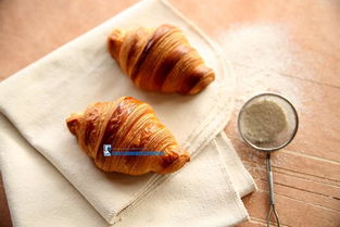 面包制作基礎(chǔ)知識(shí)